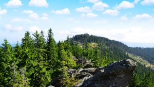 Klimaet i Bayerischer Wald, Tyskland